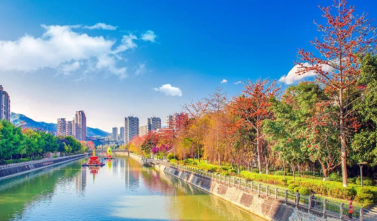 1550915848562812.png 1.png