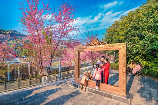 1550915872651931.png 3.png