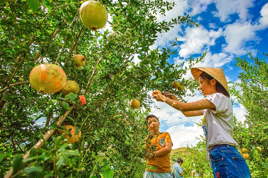 1550915887272907.png 4.png