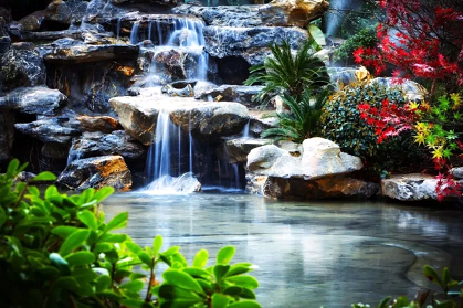 1550916392150611.png 2.png