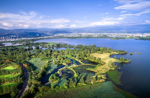 1550917318241924.png 2.png