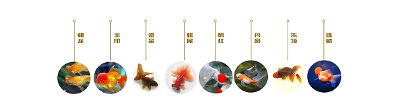 1550918033211630.png 1.png